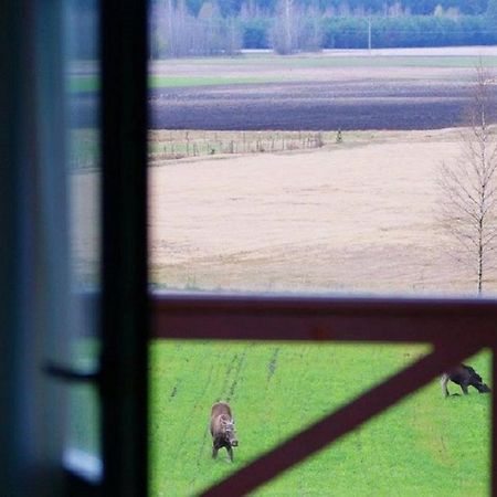 Losiowy Kat Goniądz Eksteriør bilde
