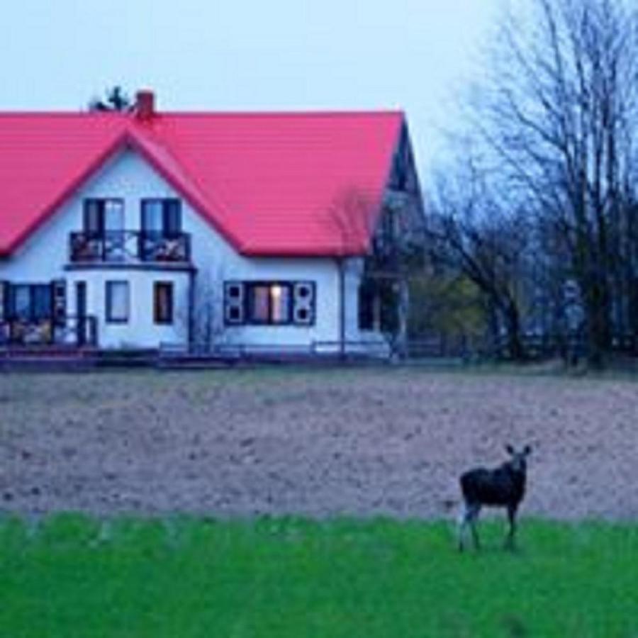 Losiowy Kat Goniądz Eksteriør bilde